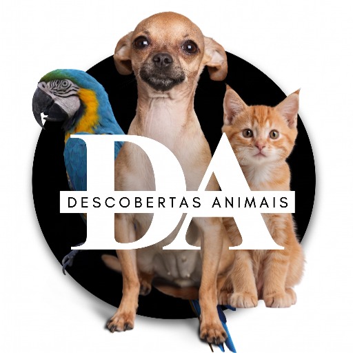 descobertasanimais
